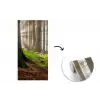 Zonlicht - Takken - Boom - Bos fotobehang vinyl groot -3d