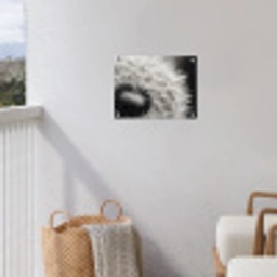 Paardenbloem - Zwart - Wit tuinposter los doek klein -sfeer8