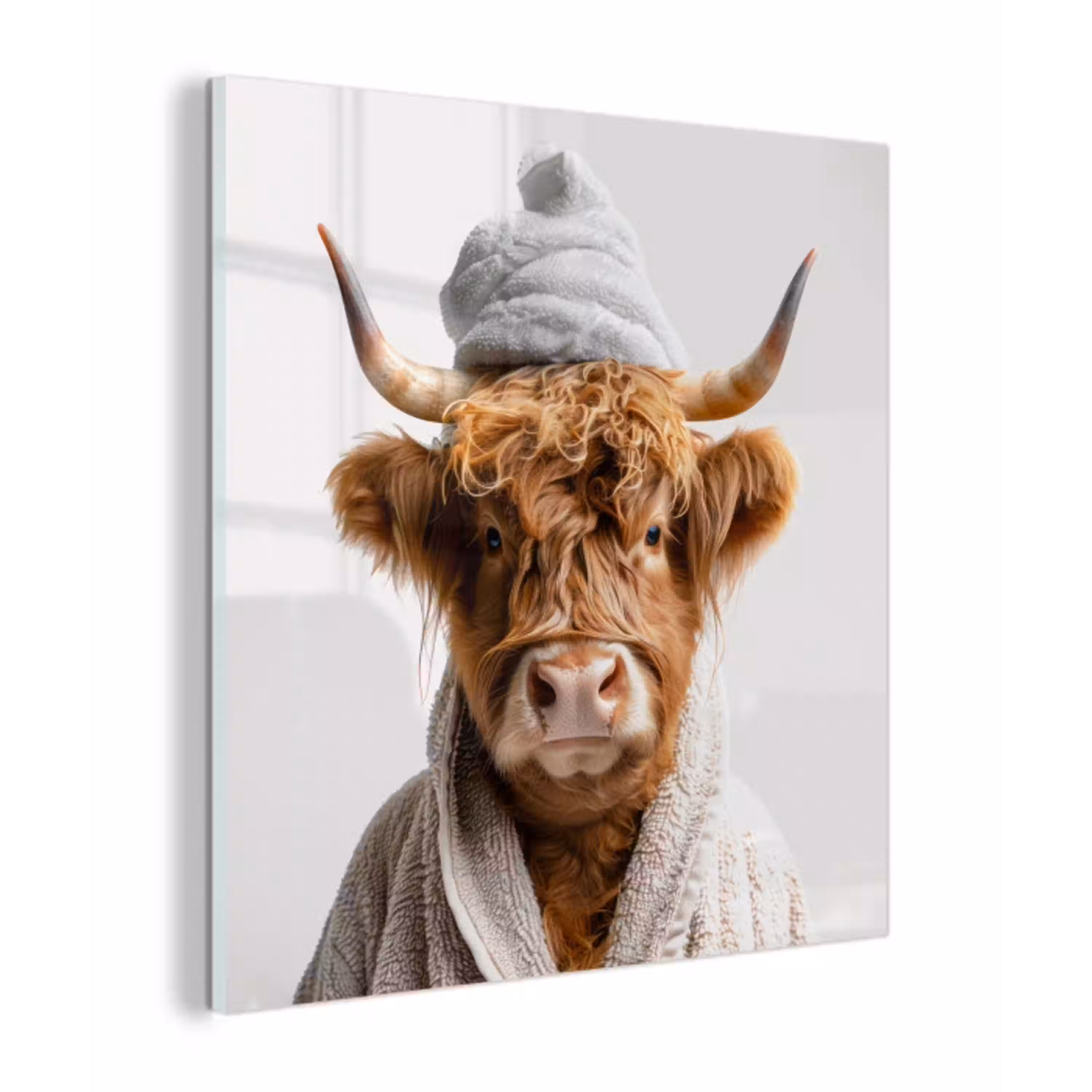 Schotse hooglander - Badjas - Koe - Dieren plexiglas 5mm klein -z3d