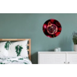 Granaatappel - Rood - Fruit Wandcirkel aluminium klein -slaapkamer