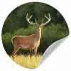 Hert - Gewei - Gras - Natuur - Dieren - Groen Wandcirkel behangsticker klein -3d
