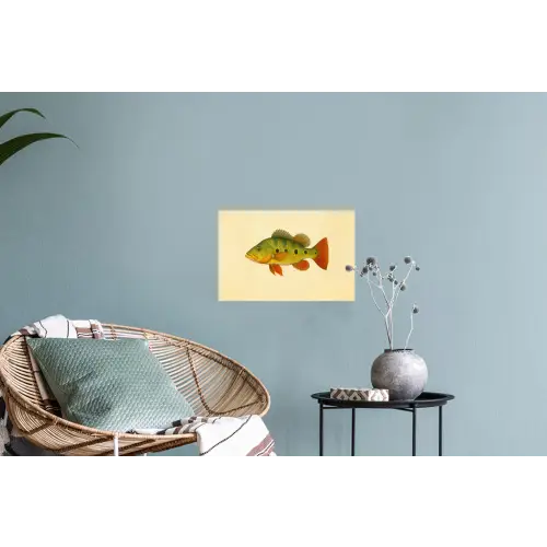 Schubben - Vis - Groen - Illustratie Muursticker klein -plant