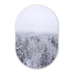 Bos - Sneeuw - Winter - Natuur - Wit Wandcirkel Ovaal Forex klein -3d