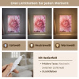 Dahlia - Bloem - Close up - Roze Light Box met kabel (Tafellamp) klein -USP_lichtkleurDE