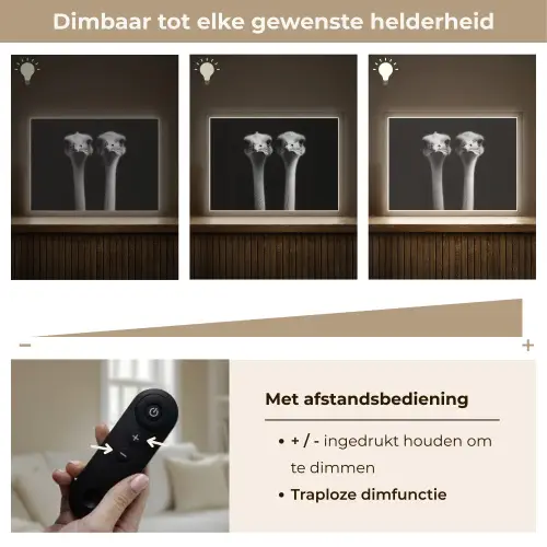 Struisvogels - Halzen - Zwart - Minimalistisch Light Box met batterij (Wandlamp) middel -USP_dimbaarNL