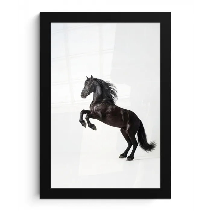 Zwart - Paard - Portret fotolijst zwart zonder passe partout klein -3d