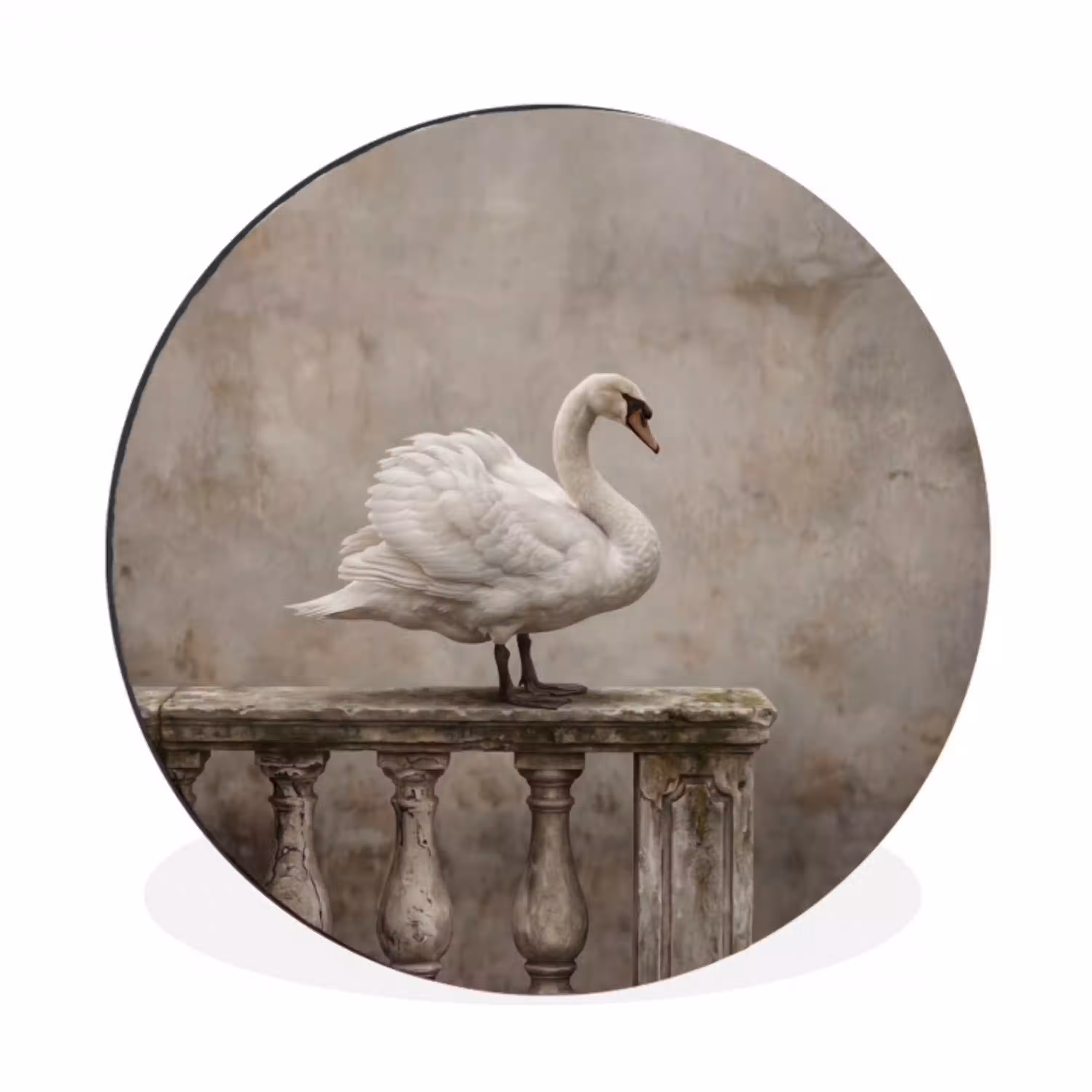 Zwaan - Elegant - Dieren - Wit Wandcirkel aluminium klein -3d