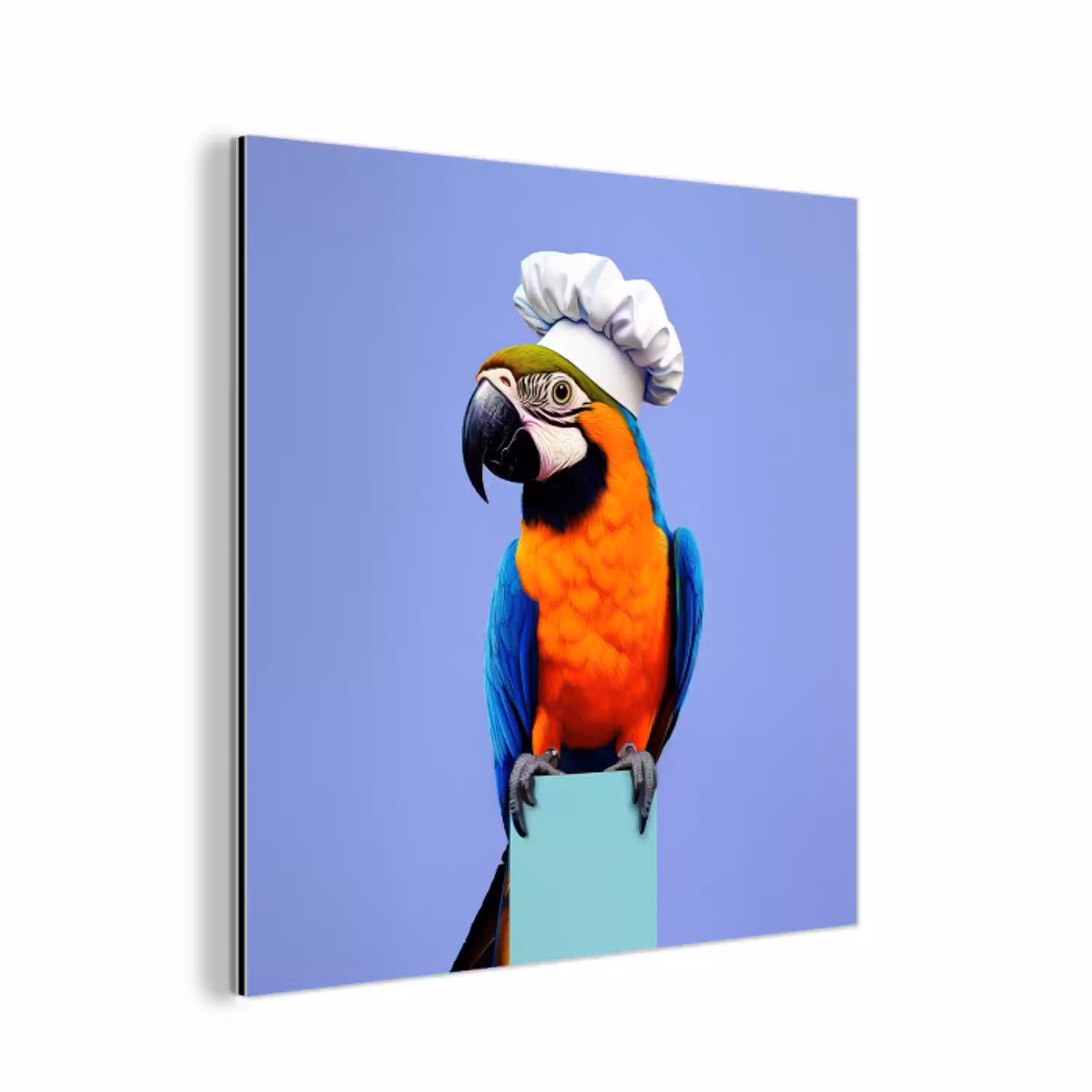 Papegaai - Koksmuts - Vogel - Leuk aluminium wit klein -3d