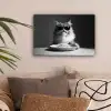 Langharige kat - Zonnebril - Spaghetti - Humor - Zwart - wit canvas 2cm klein -sfeer1