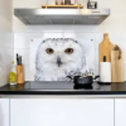 Sneeuwuil - Oog - Wildlife - Wit Inductie beschemer met haakjes klein -sfeer2