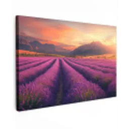 Lavendelveld - Zonsondergang - Paars Tuinposter op houten frame 2 cm dik klein -3d