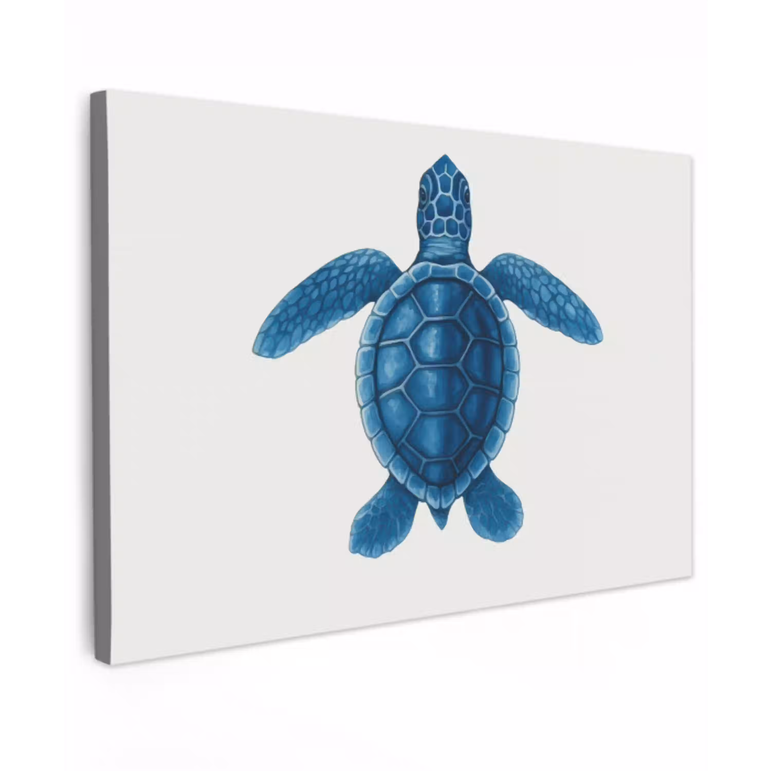 Schildpad - Blauw - Schild canvas 2cm klein -z3d