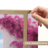Zee - Roze - Bloemen - Poort Light Box met batterij (Wandlamp) middel -USP_websiteprintNL