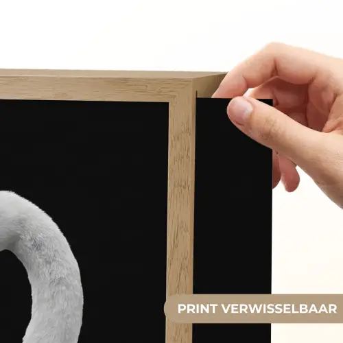 Zwanen - Hart - Zwart - Wit Light Box met batterij (Wandlamp) middel -USP_websiteprintNL