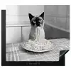 Kat - Siamees - Zwart Wit - Schattig - Dieren Inductie beschermer vinyl 3mm middel -3d