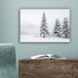 Fijnsparren - Sneeuw - Winter - Landschap - Stilte canvas 2cm klein -sfeer4