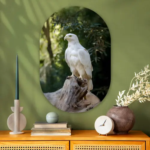 Arend - Hout - Wit - Planten Wandcirkel Ovaal Glas middel -sfeer2