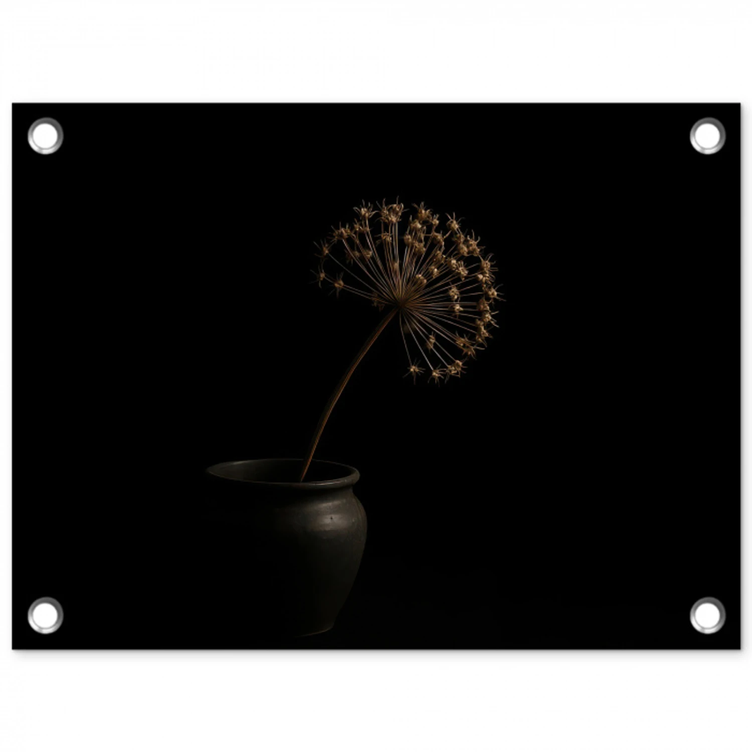 Bol - Gedroogd - Vaas - Zwart tuinposter los doek klein -3d