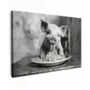 Varken - Schattig - Spaghetti - Zwart wit - Dier canvas 2cm klein -z3d