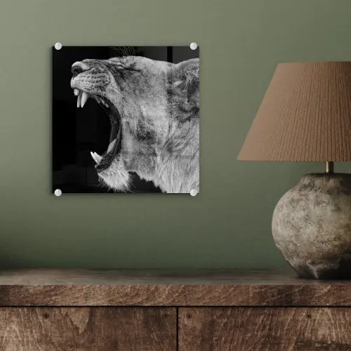Dieren - Leeuw - Zwart - Wit - Portret plexiglas 5mm klein -sfeer3