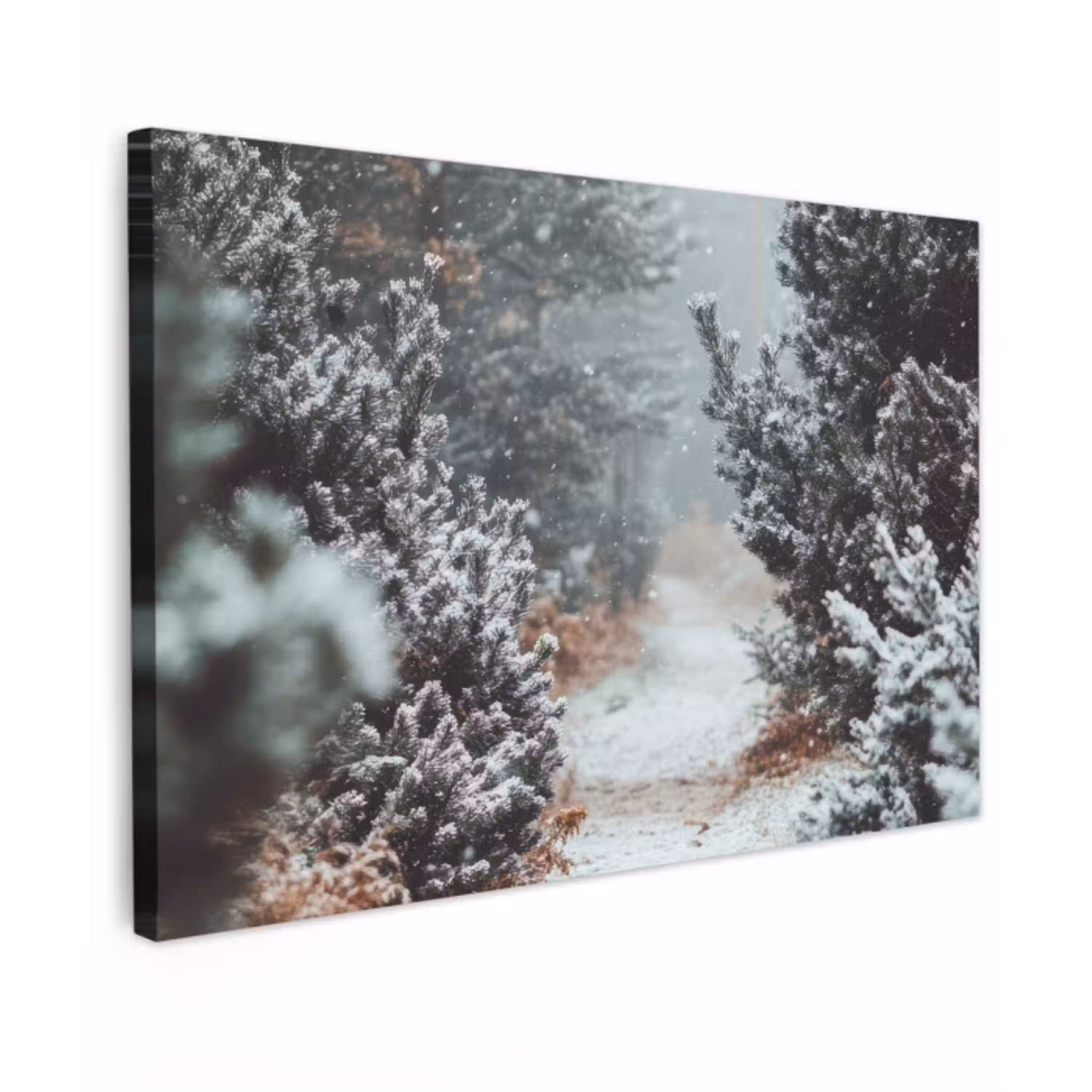 Bos - Winter - Bomen - Natuur - Pad - Sneeuw Tuinposter op houten frame 2 cm dik klein -3d