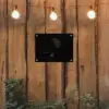 Bol - Gedroogd - Vaas - Zwart tuinposter los doek klein -sfeer1