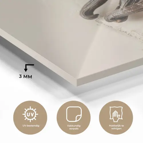 Vanille - Bloemen - Beige plexiglas 5mm klein -sfeer2