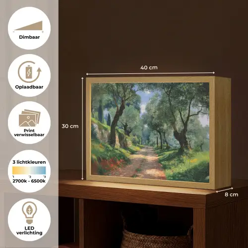 Pad - Bomen - Schaduw - Light Box met batterij (Wandlamp) middel -USP_websiteoverzichtNL