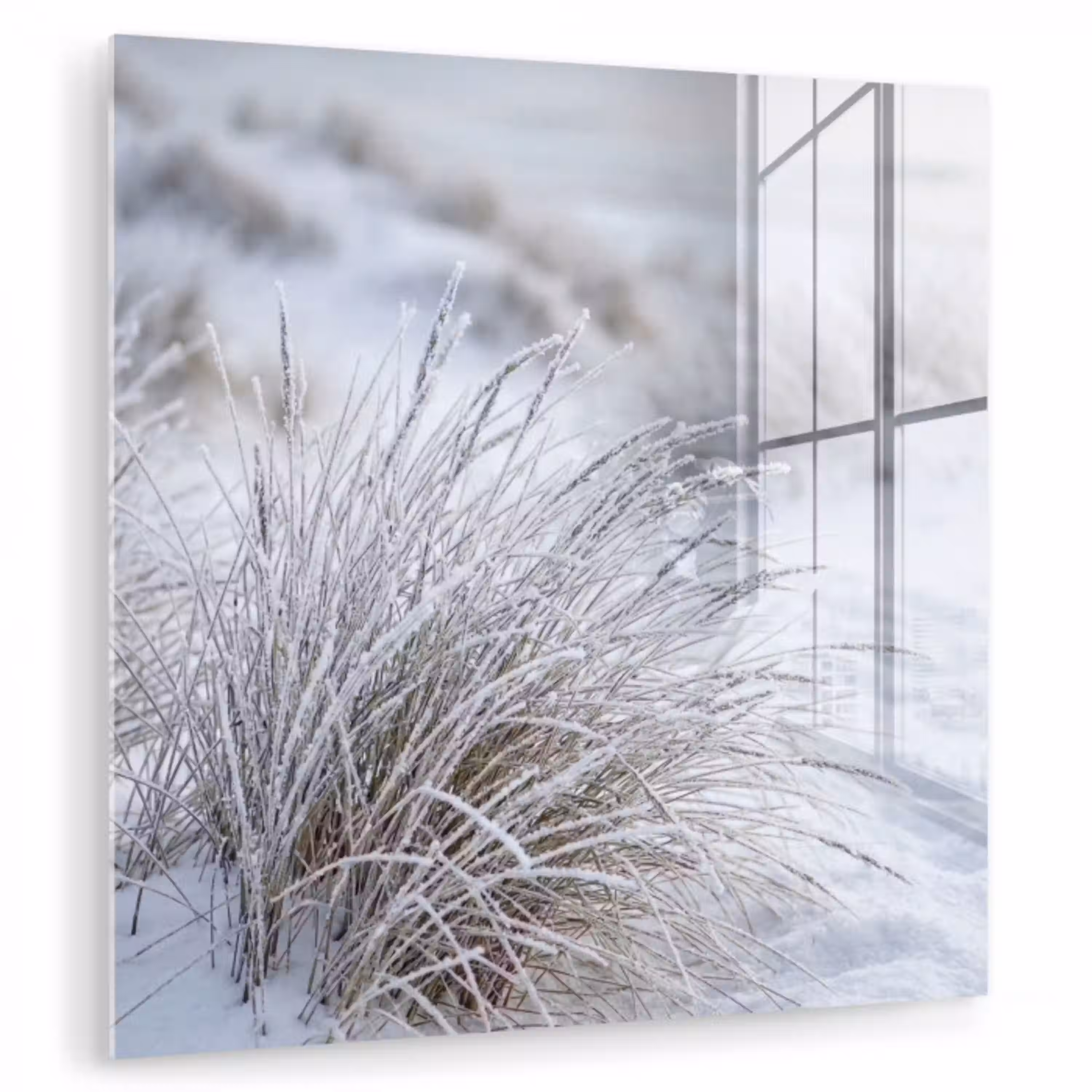 Duinen - Sneeuw - Strand - Winter - Serene plexiglas 5mm klein -zzzproduct_nieuw