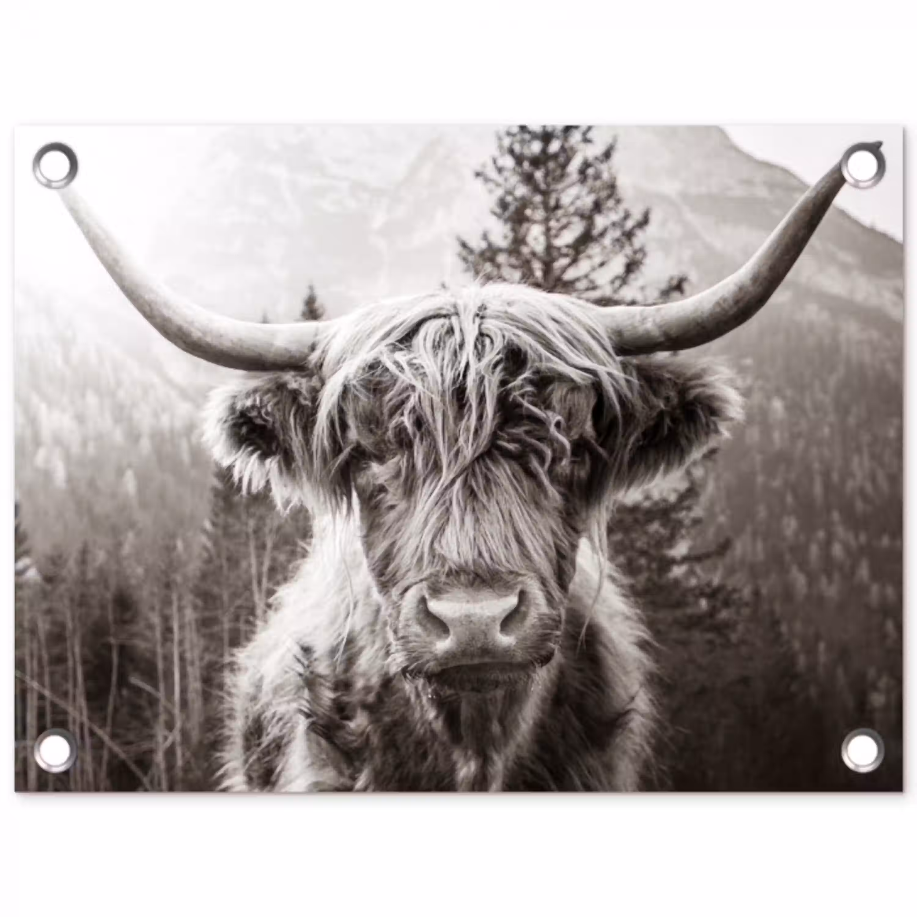 Schotse hooglander - Koe - Dieren - Zwart - Wit tuinposter los doek klein -3d