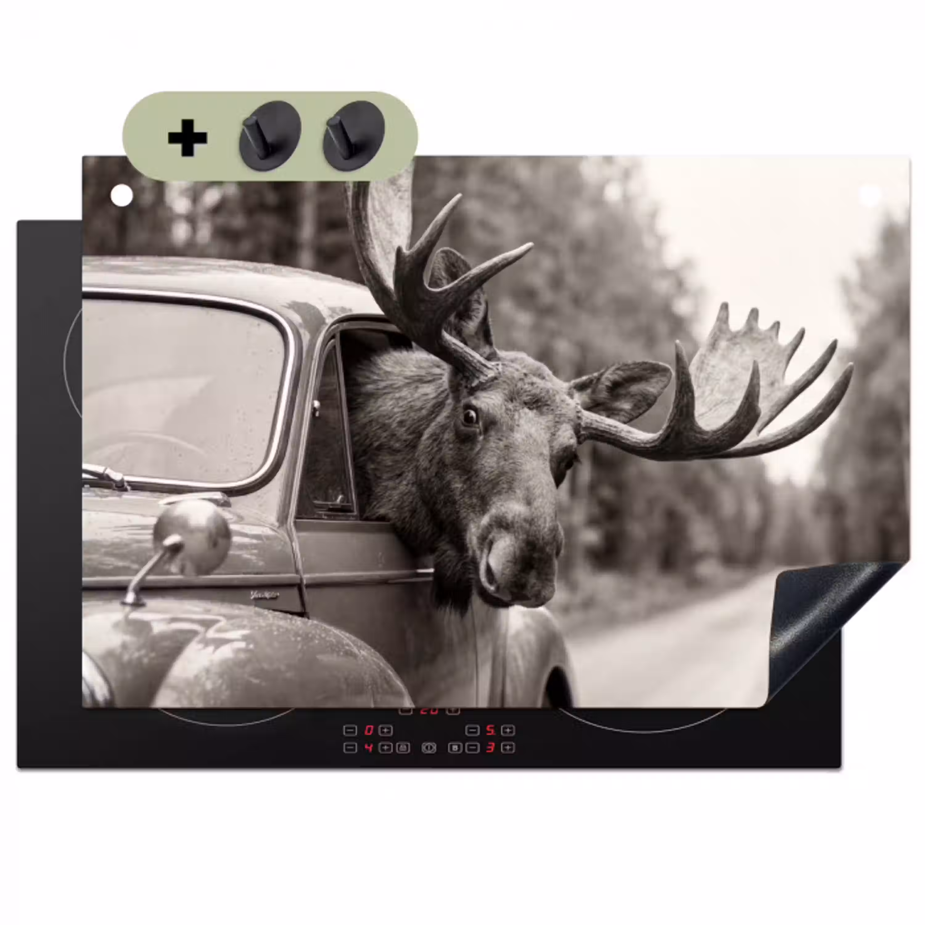 Eland - Auto - Gewei - Zwart - Wit Inductie beschemer met haakjes klein -3d