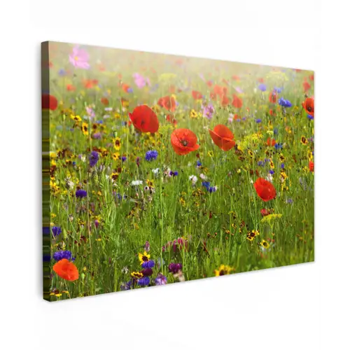 Lente - Bloemen - Rood - Klaproos - Gras - Groen Tuinposter op houten frame 2 cm dik klein -3d