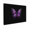 Vlinder - Paars - Levendig canvas 2cm klein -z3d