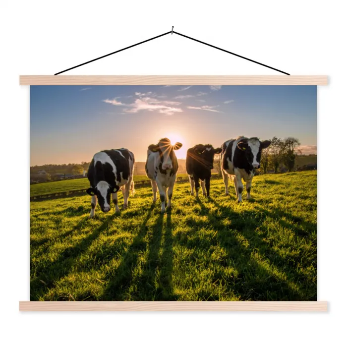 Koeien - Zon - Gras - Dieren - Boerderij textielposter latten blank klein -3d