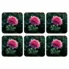 Blad - Chrysant - Roze - Schaduw onderzetter kurk middel -3d