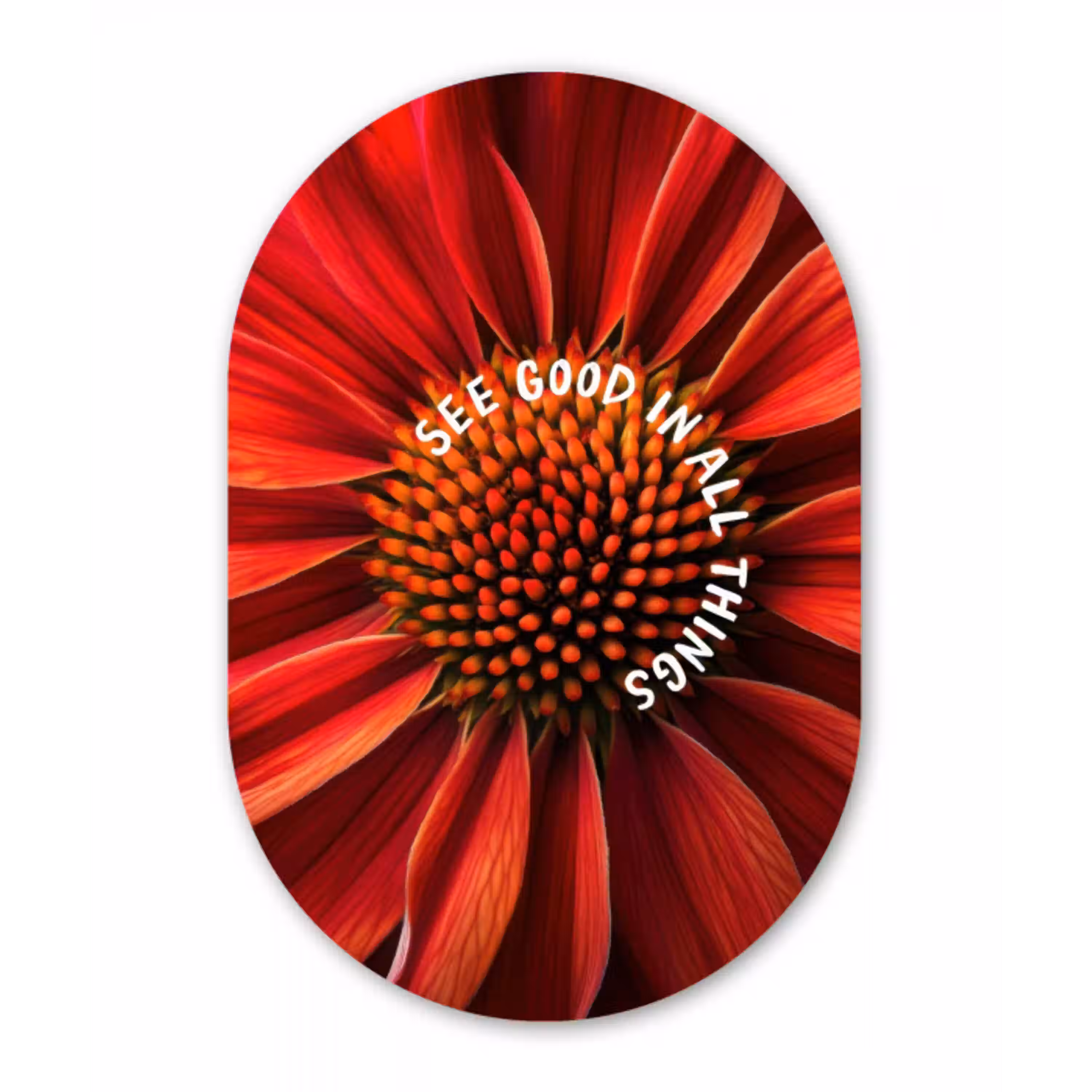 Close up - Bloem - Quote - Rood Wandcirkel Ovaal Glas middel -3d