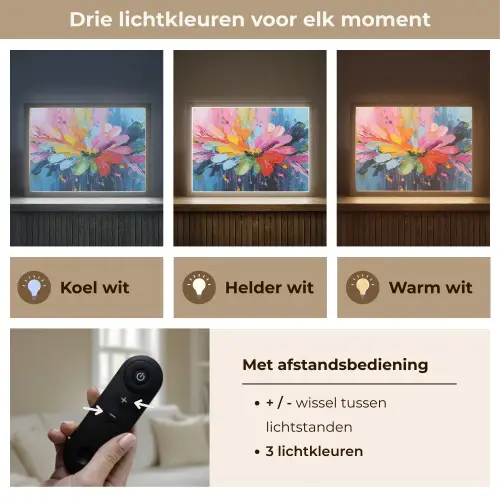Kleuruitbarsting - Expressieve sfeer - Bloem Light Box met batterij (Wandlamp) middel -USP_lichtkleurNL
