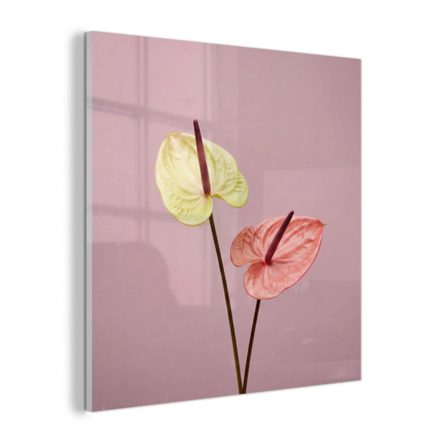 Bloemen - Anthuriums - Geel - Roze plexiglas 5mm klein -z3d