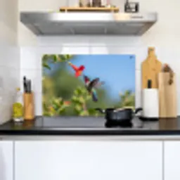 Kolibrie - Bloem - Natuur - Groen Inductie beschemer met haakjes klein -sfeer2