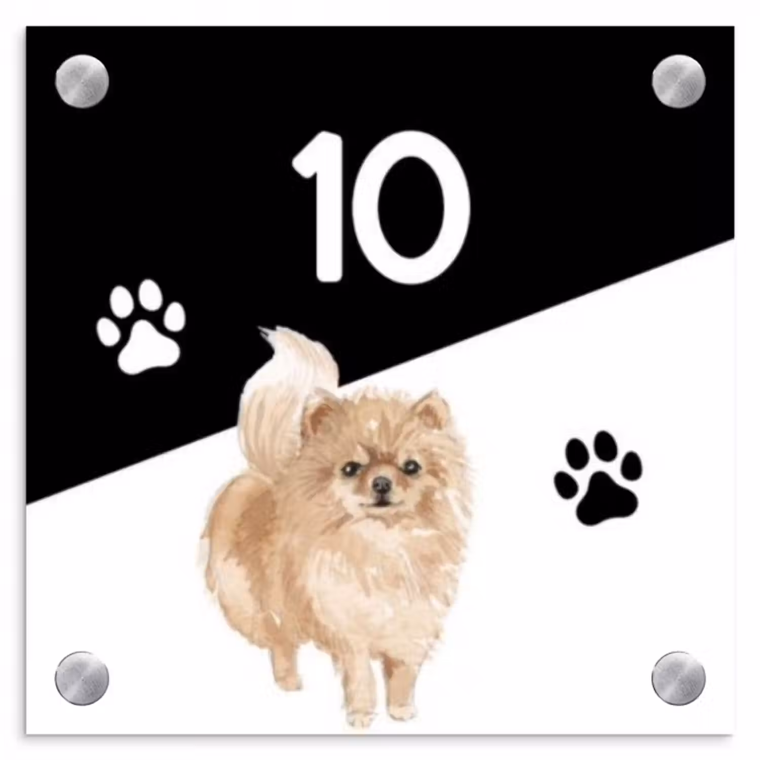Namensschild Haustür Quadratisch - Schwarz und weiß - Haustier - Pomeranian