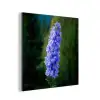 Bloemen - Blauw - Dennenboom aluminium wit klein -3d