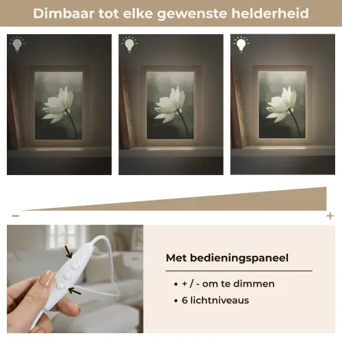 Wit - Lotus - Donker - Bloem Light Box met kabel (Tafellamp) klein -USP_dimbaarNL