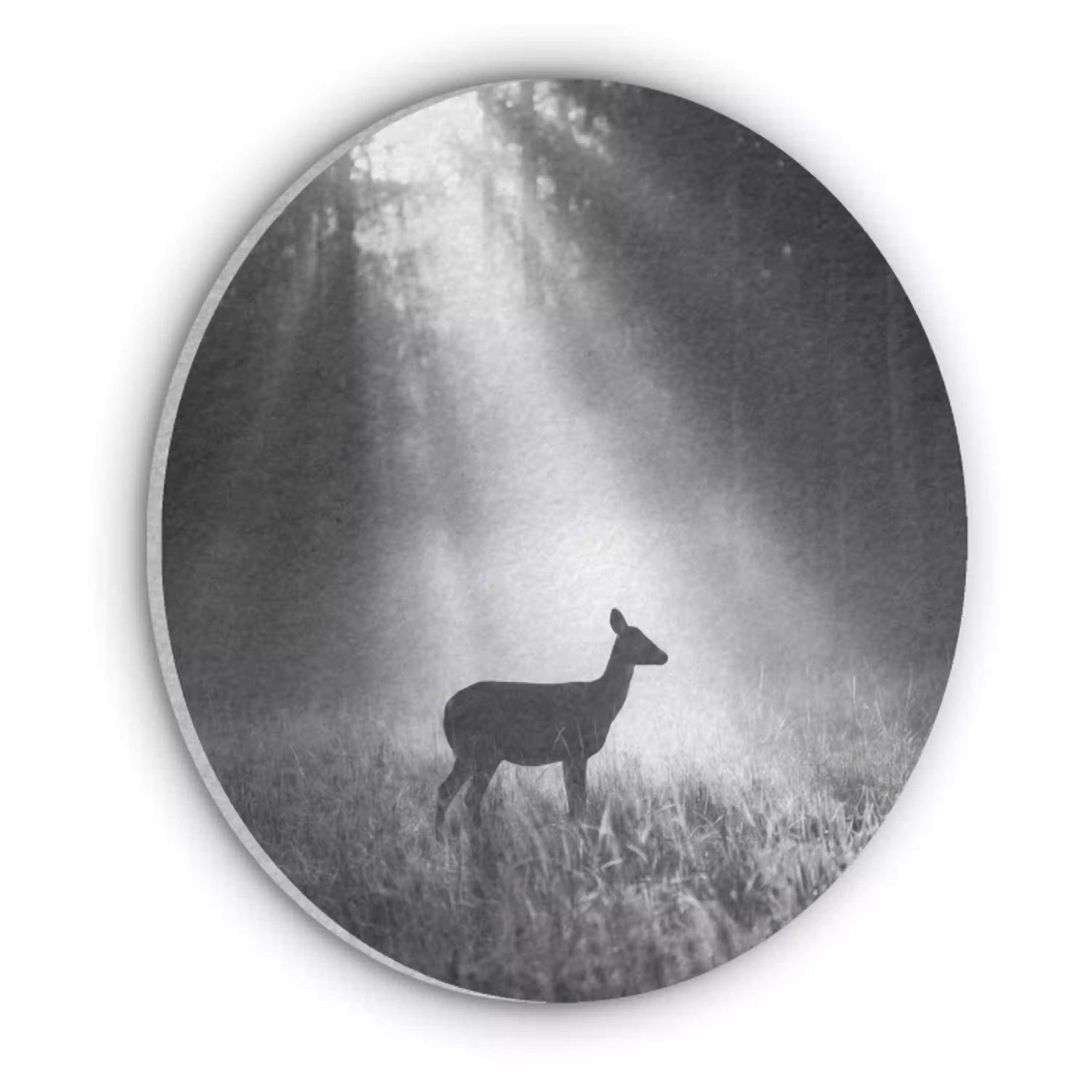 Hert - Bos - Zonnestralen - Zwart-wit - Natuur Akoestische PET Vilt - Rond klein -3d