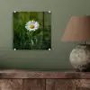 Wit - Madeliefje - Bloem - Gras plexiglas 5mm klein -sfeer3