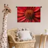 Close up - Bloem- Rood Wandkleed katoen klein -wsfeer5_kind