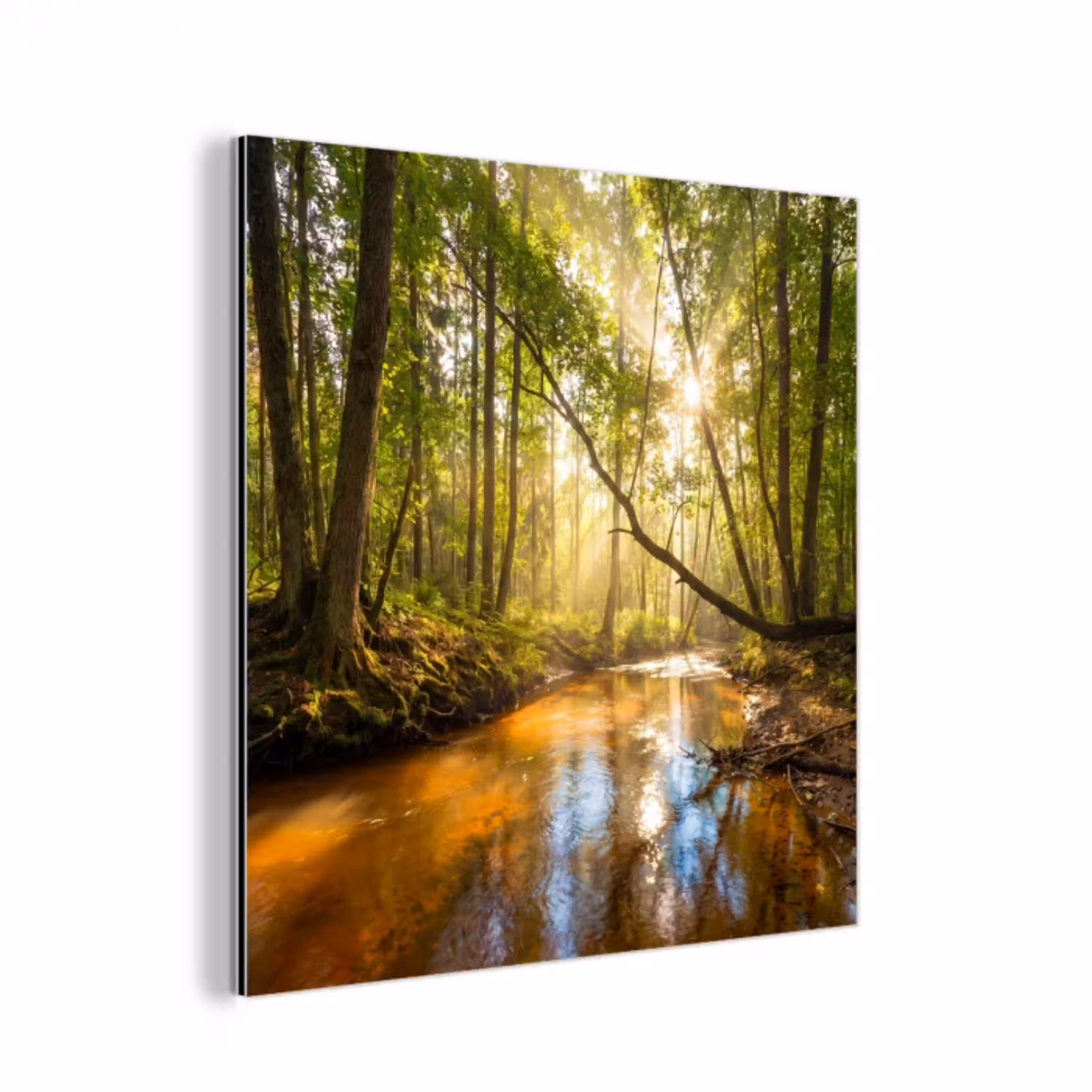 Bos - Beek - Zonlicht - Natuur - Groen aluminium wit klein -3d