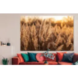 Rietpluimen - Gras - Zonsondergang - Goud - Serene forex 5mm xxl -woonkamer