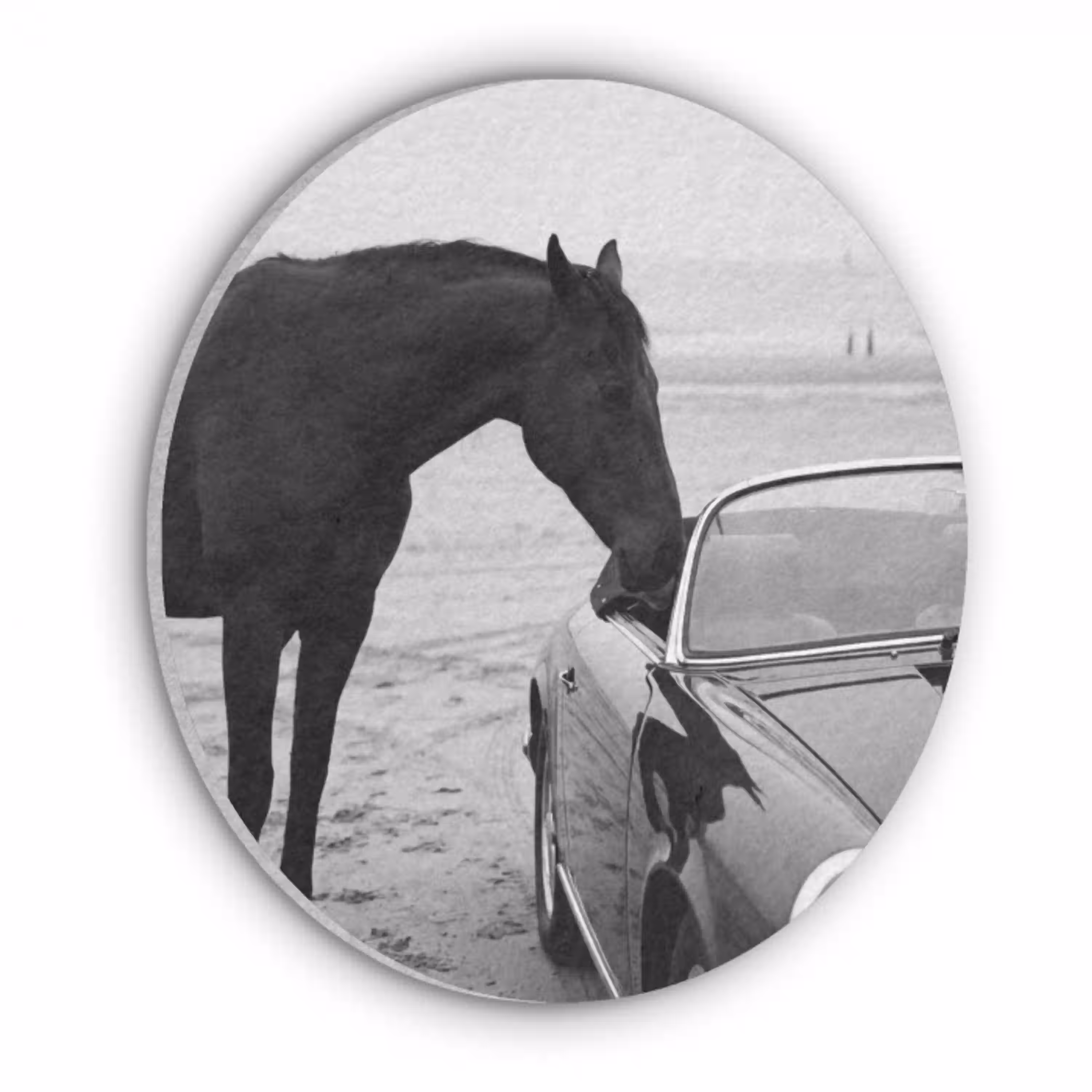 Paard - Auto - Zwart - Wit Akoestische PET Vilt - Rond klein -3d