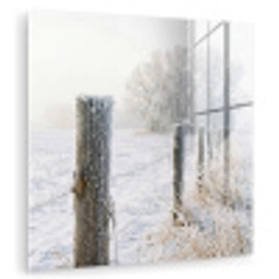 Hek - Sneeuw - Mist - Platteland - Nostalgisch plexiglas 5mm klein -zzzproduct_nieuw