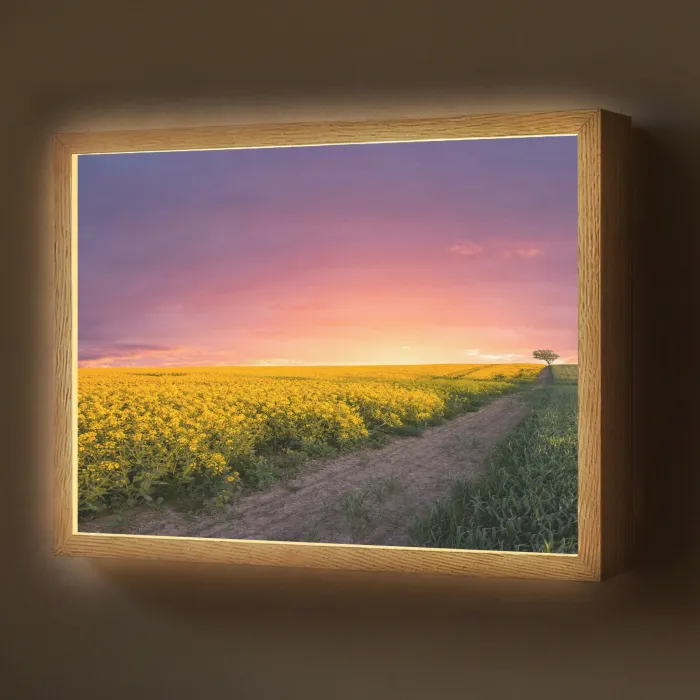 Bloemen - Weg - Lucht - Geel - Paars - Zonsondergang - Natuur Light Box met batterij (Wandlamp) middel -z3d_website